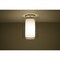 Besa Lighting Pahu 8 Ceiling, Clear/Opal, Satin Nickel Finish, 1x100W Incandescent 1KM-C00607-SN - alternate 1
